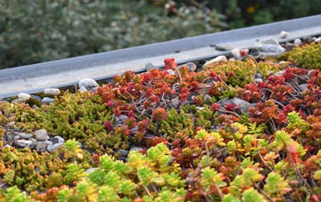 the cost of Tyla green roof installation
