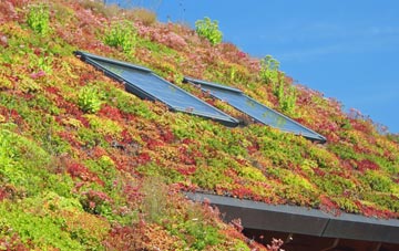 Tyla living roof systems