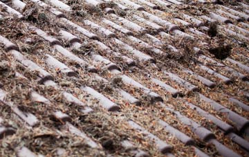 Tyla roof cleaning companies